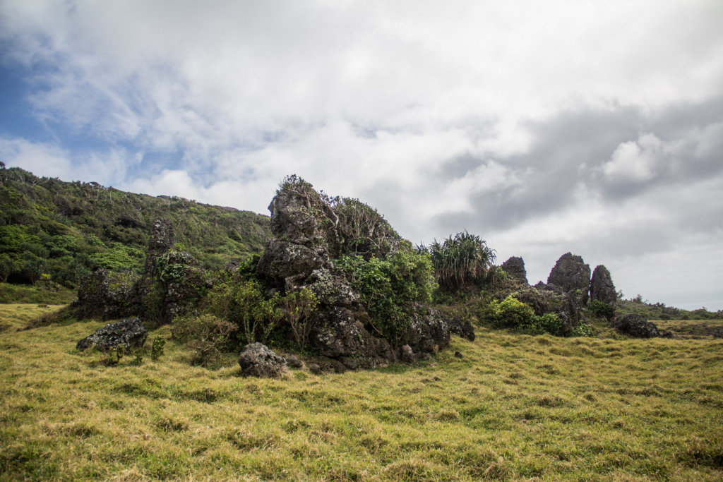 'Eua Tonga North Side: Rocl Garden