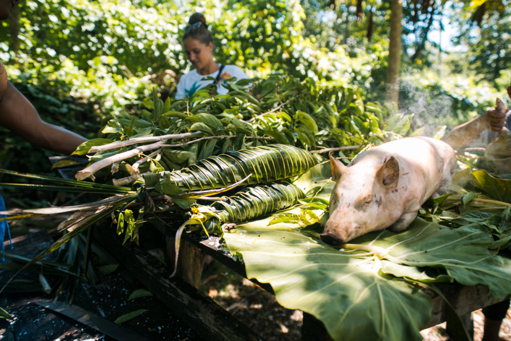 Samoan Umu Experience -Pig, a Samoa Budget Roadtrip Must