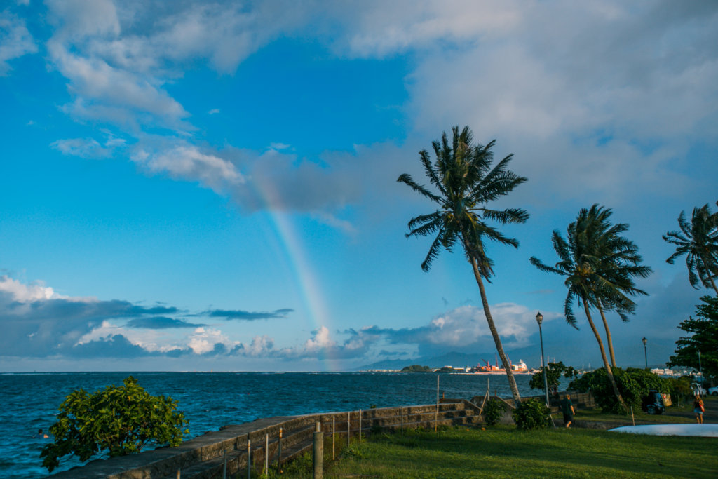 Samoa Best Places to Eat Paddles Restaurant in Apia