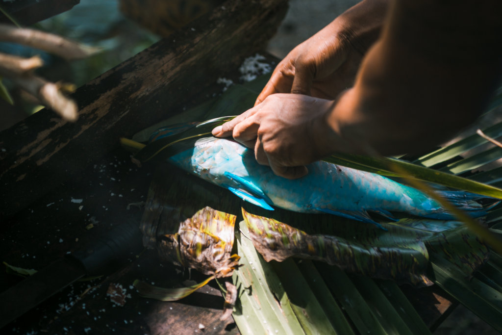 Parrottfish at Samoan Umu Experience - a Samoa Budget Roadtrip Must