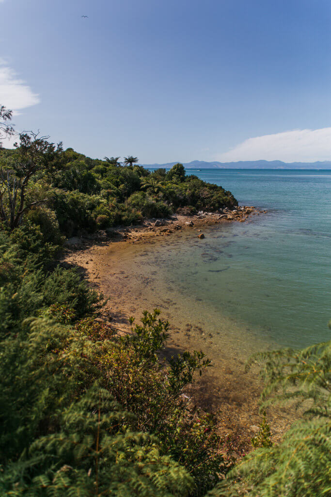 Abel Tasman Photo Spot - Coastal Trek