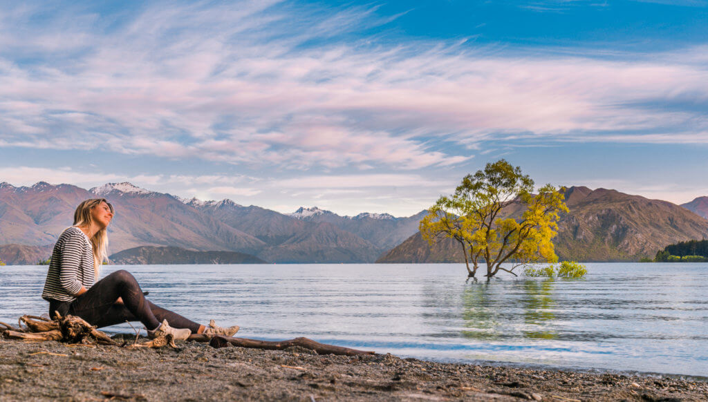 That Wanaka Tree - New Zealand Best Things to See and Do