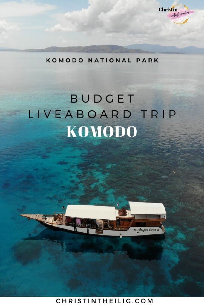 Komodo Diving - Full Guide on a Budget Liveaboard Trip