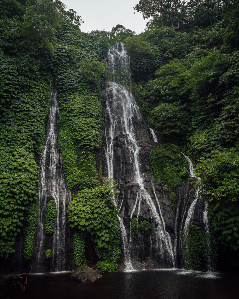twin waterfalls in green jungle