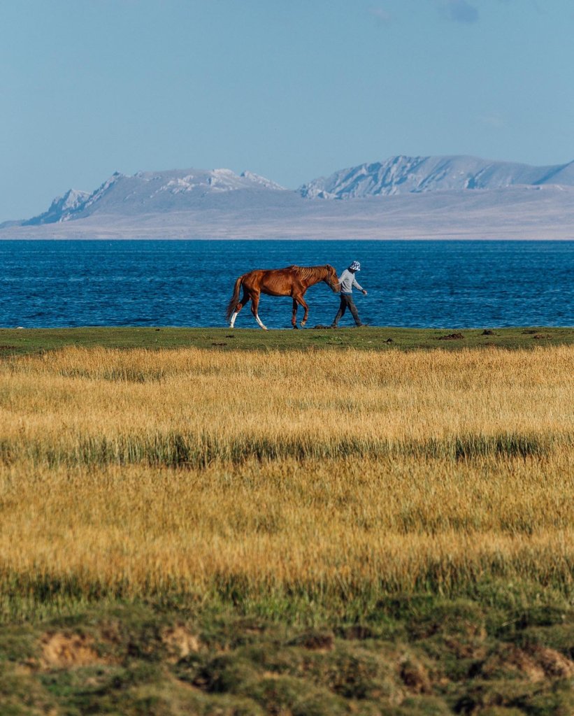 Kyrgyzstan horse and lake