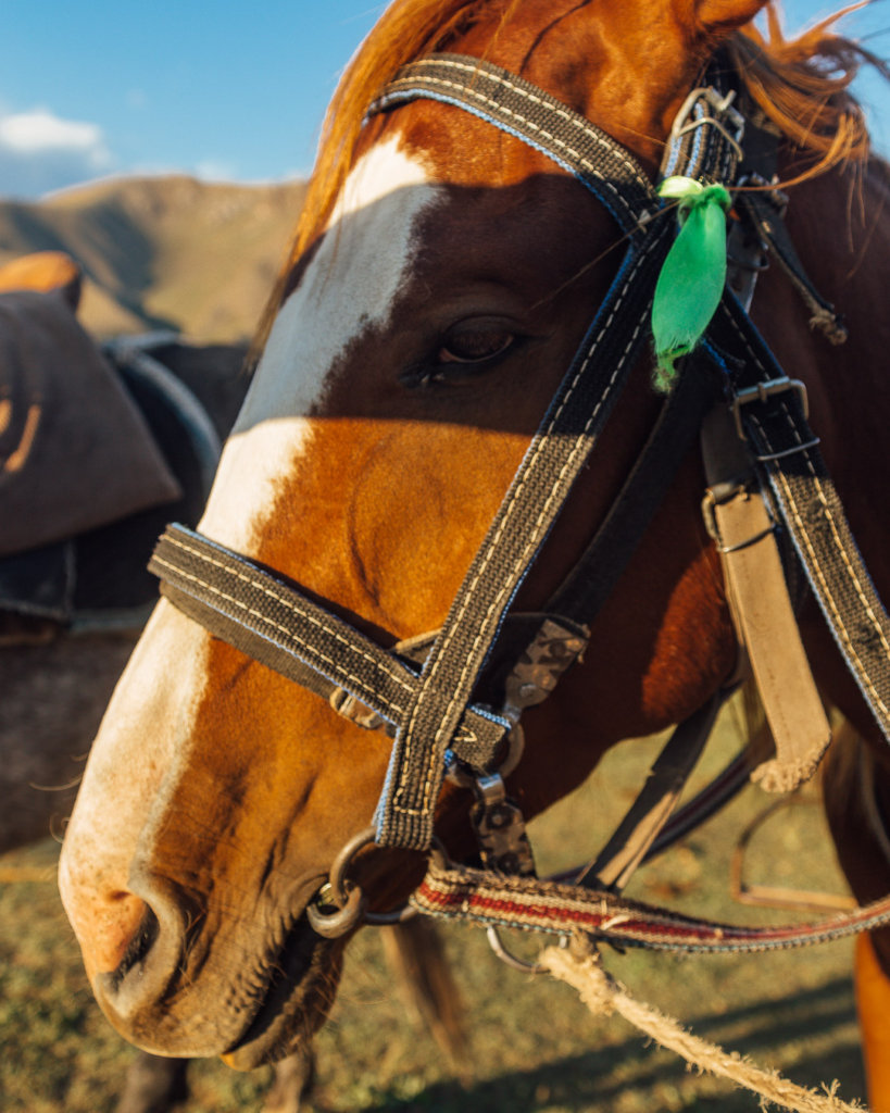 Horse Trekking Kyrgyzstan 
