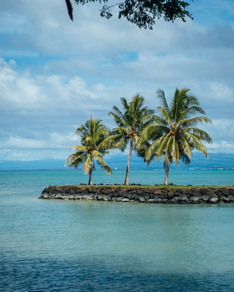 Samoa Beach Landscape