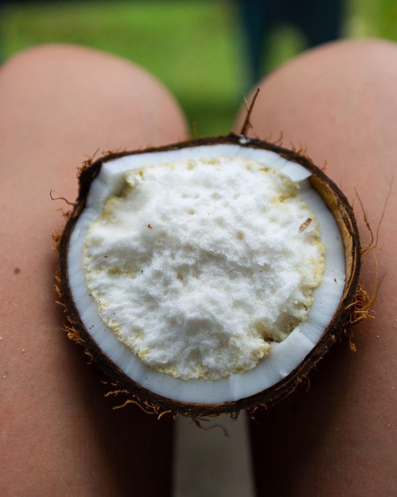 Sprouted Coconut Samoa