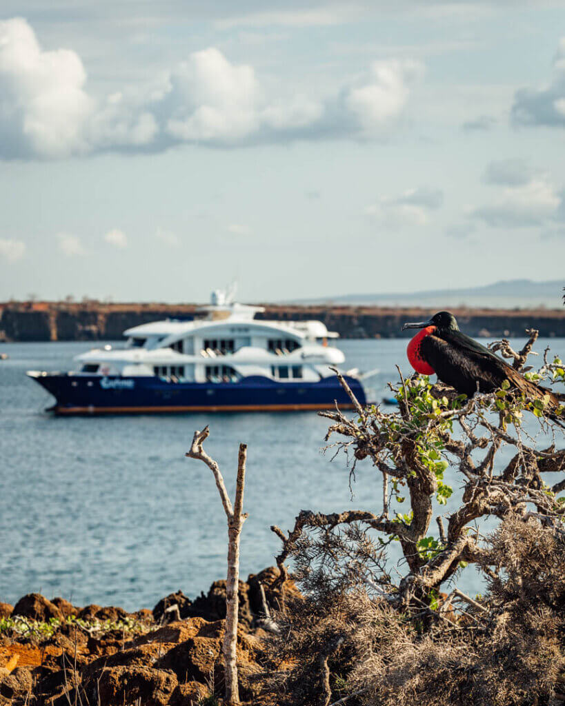 Galapagos Islands itinerary and eco luxury cruise Ecuador