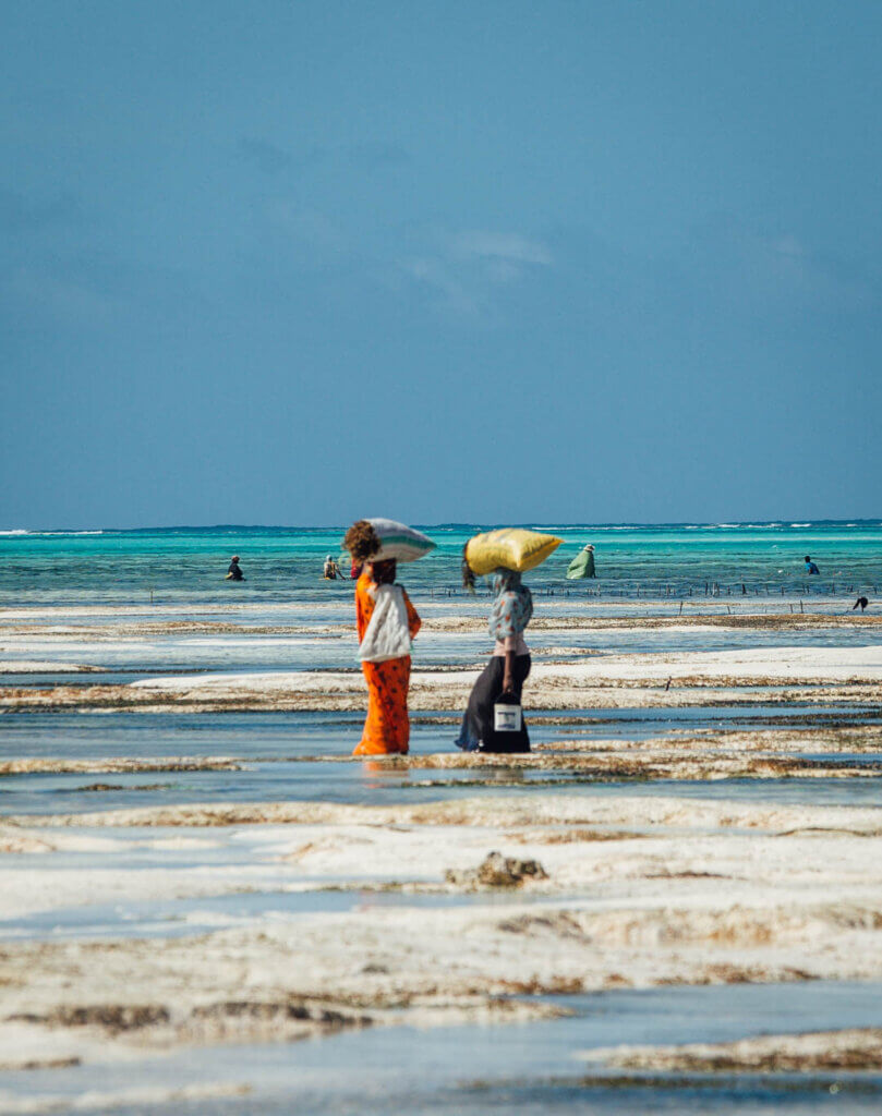 Swahili Women in Jambiani Beach