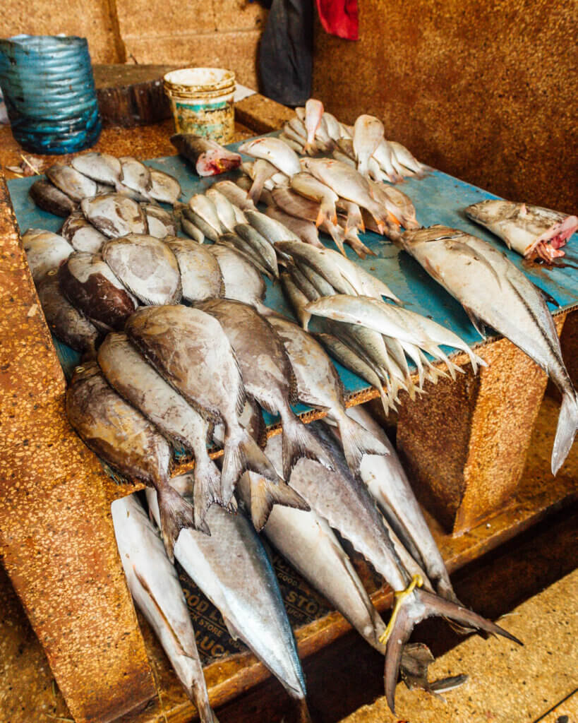 Fish market auction at Daranjani Market, Stone Town highlight