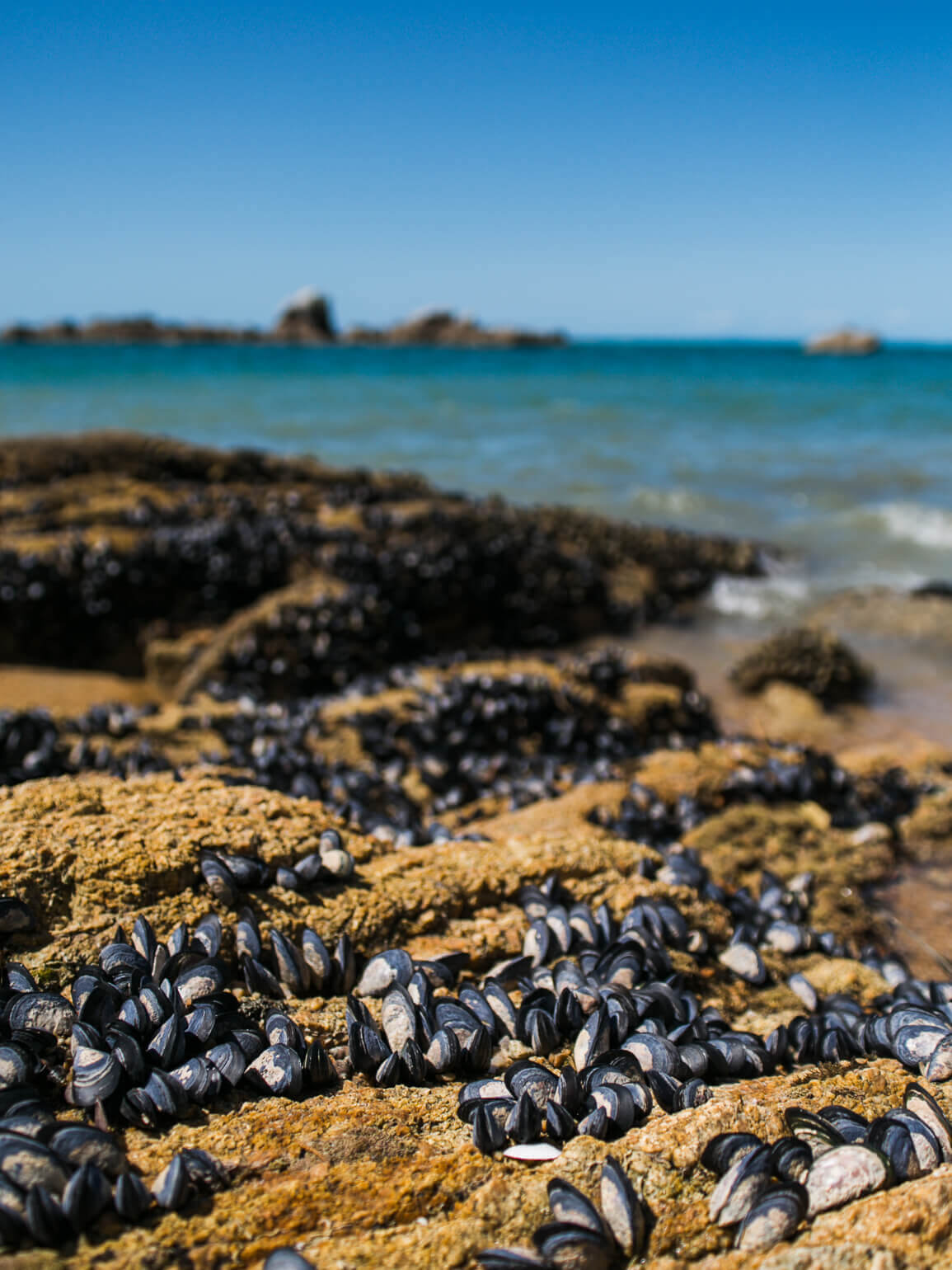 Little Kaiteriteri, a place to visit during your Abel Tasman itinerary