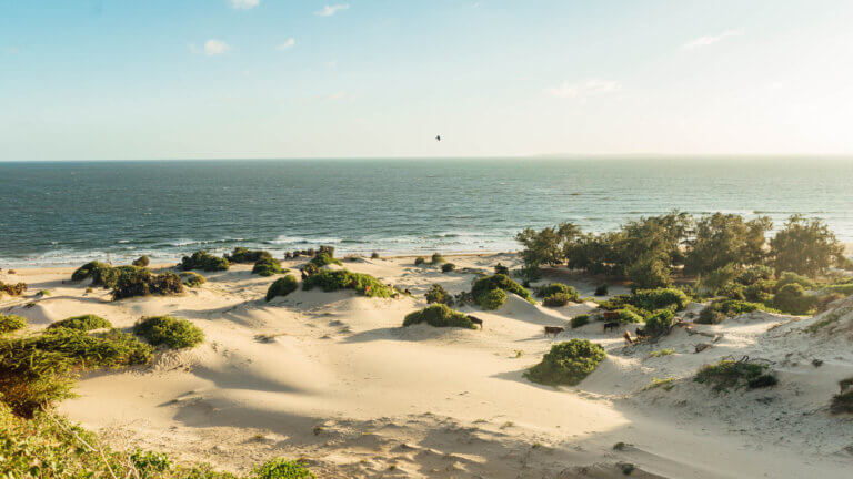 Lamu's sand dunes - a canvas of nature's ancient artistry