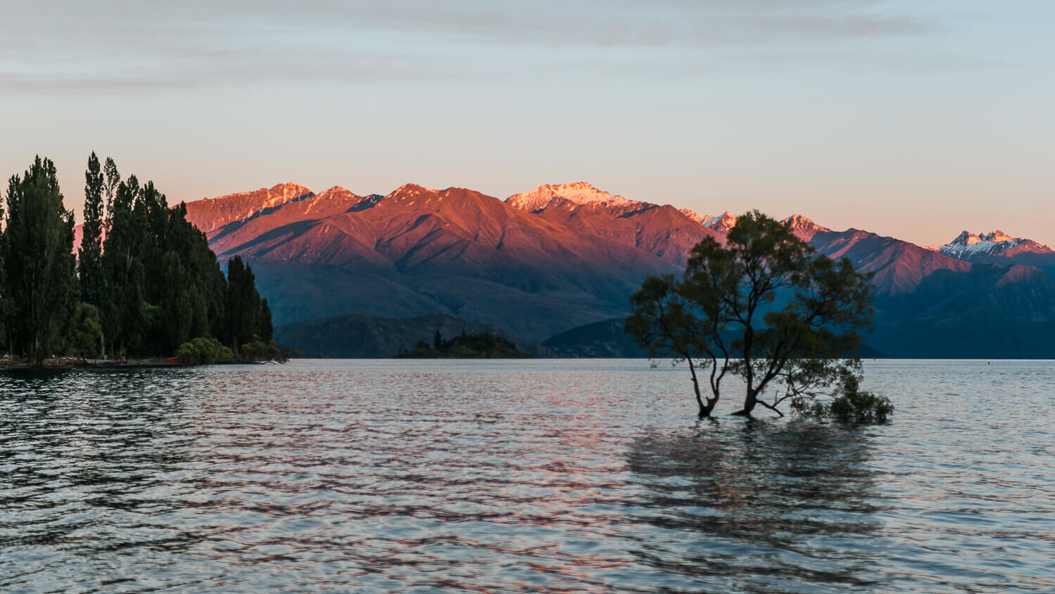 That Wanaka Tree - South Island New Zealand photography spots