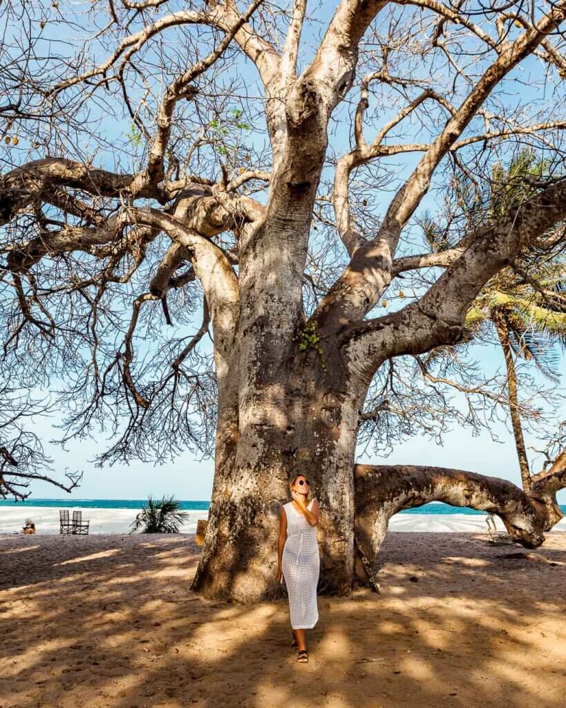 Kong River Diani