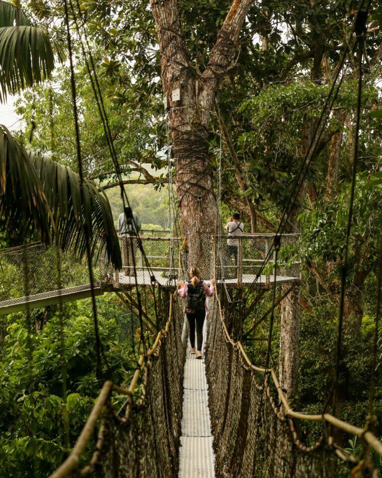ultimate-guyana-travel-guide-best-places-itineraries-tips