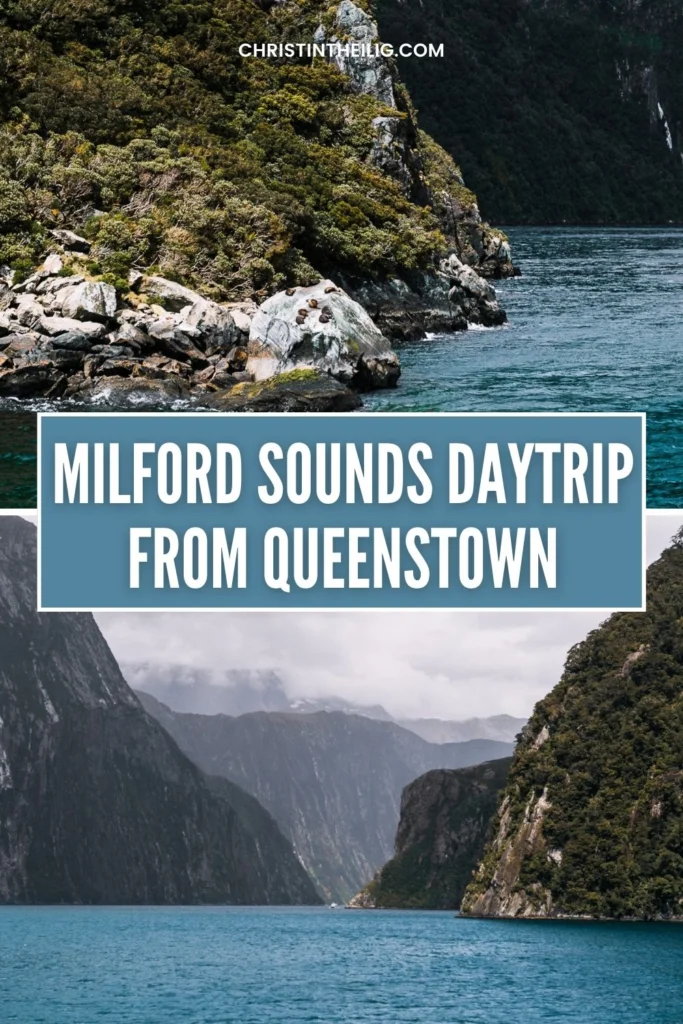 queenstown to milford sounds guide