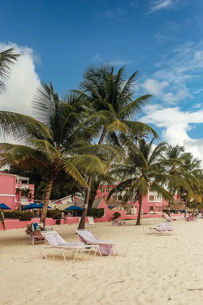 Pink vibes at Dover Beach Barbados