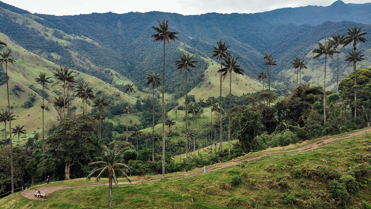 Cocora Valley Colombia Drone Shot