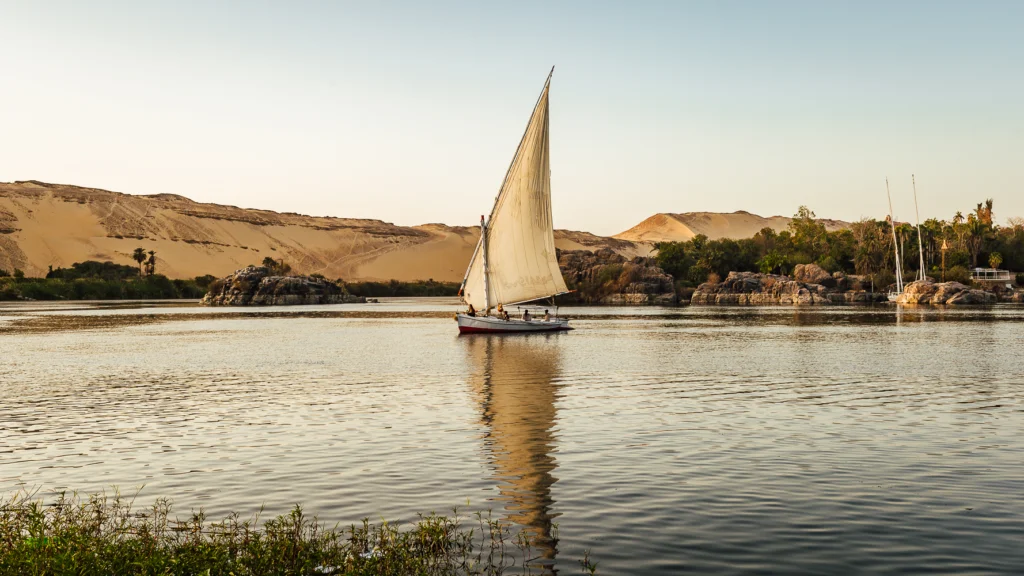 Majestic Aswan