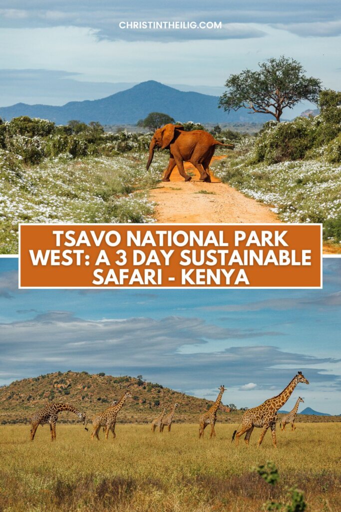 Animals on safari in Tsavo West and East Kenya