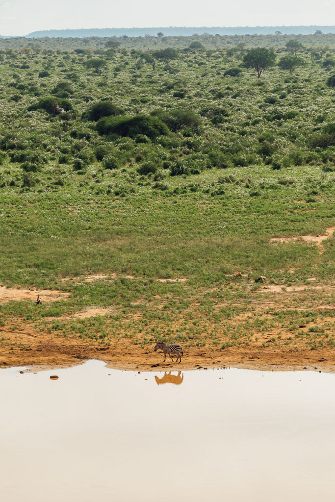 View from a rock during bush breakfast in Tsavo