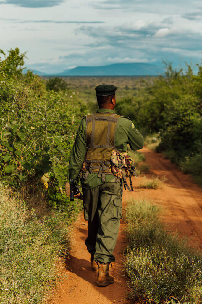 Bush walk in tsavo national park west