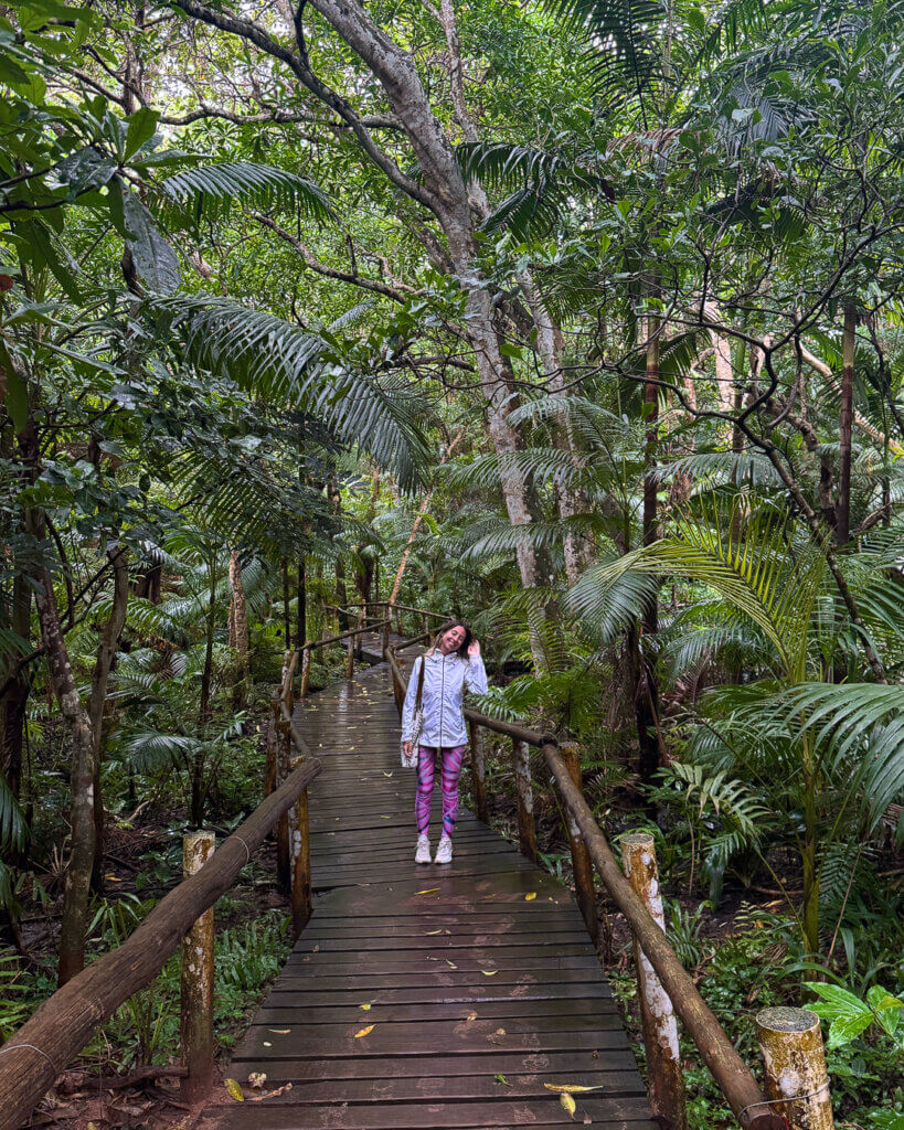 ballito slow travel guide ballito jungle walk