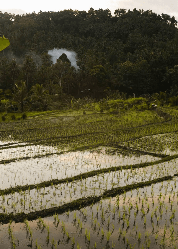 Sidemen Scenery
