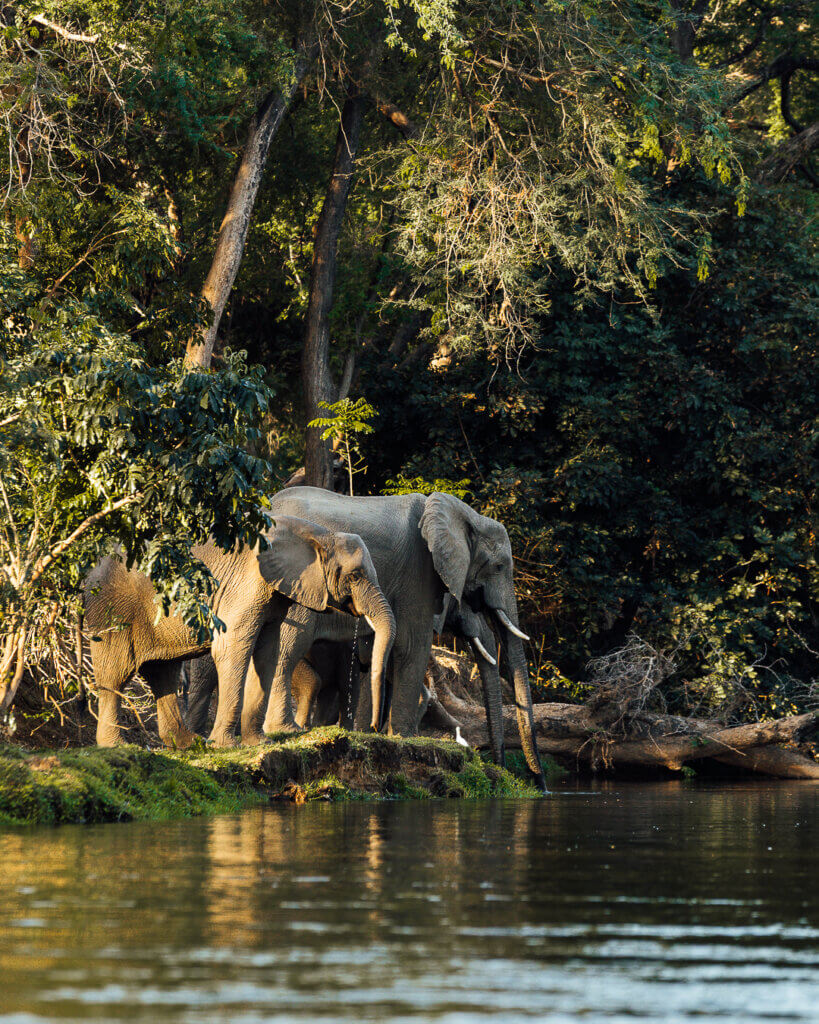 Stay at the best safari lodges in Lower Zambezi an go on a canoe safari