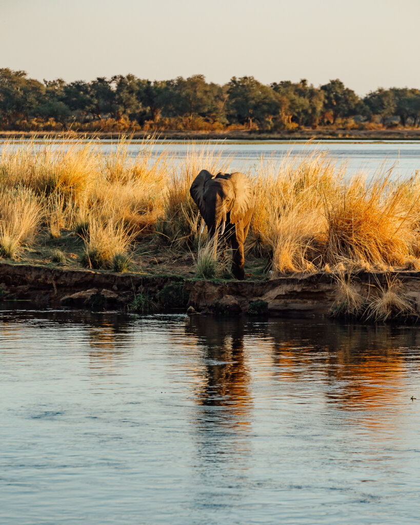 Spotting elephants and stay at best safari lodges in Lower Zambezi