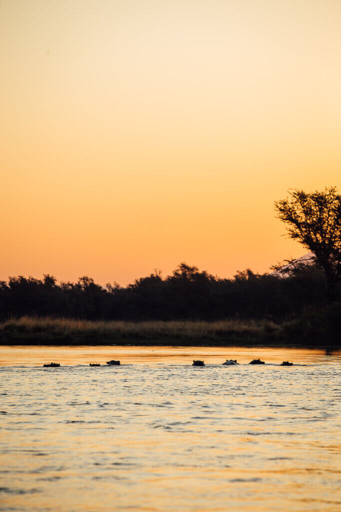 Sunset cruise with Classic Zambia Safaris