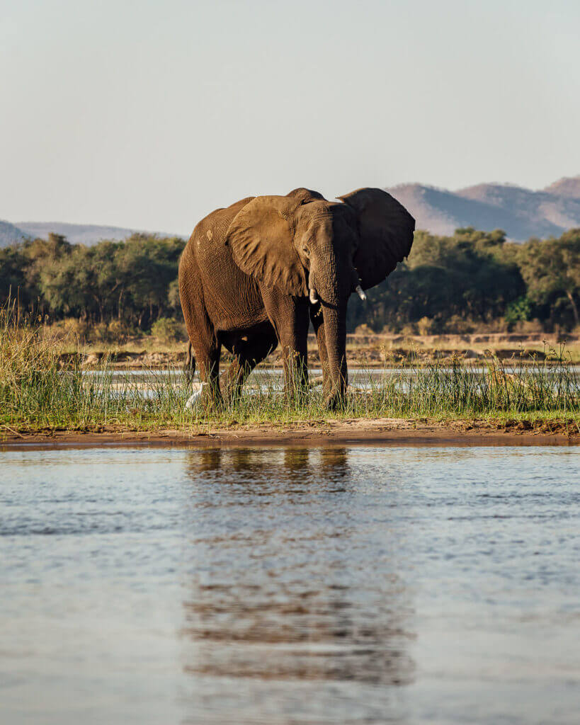Zambia