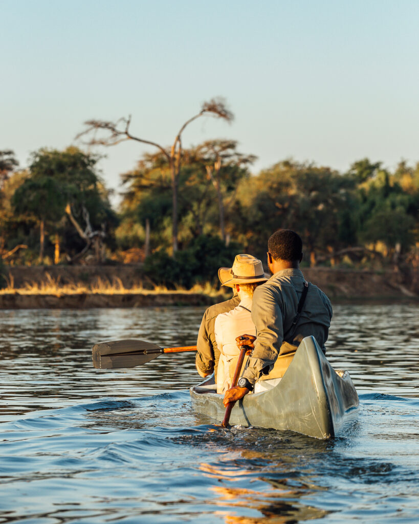 Canoe safari in Lower Zambezi