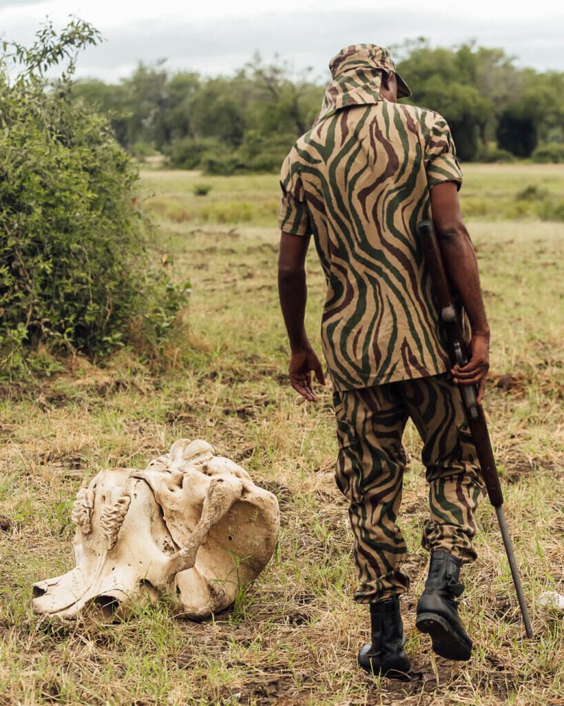 Ranger on walking safari in Lower Zambezi
