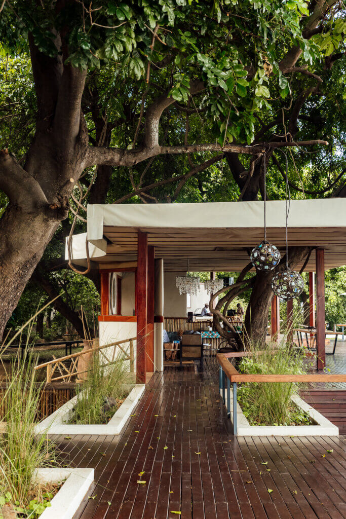 Sausage Tree Camp & Potato Bush Camp by Green Safaris