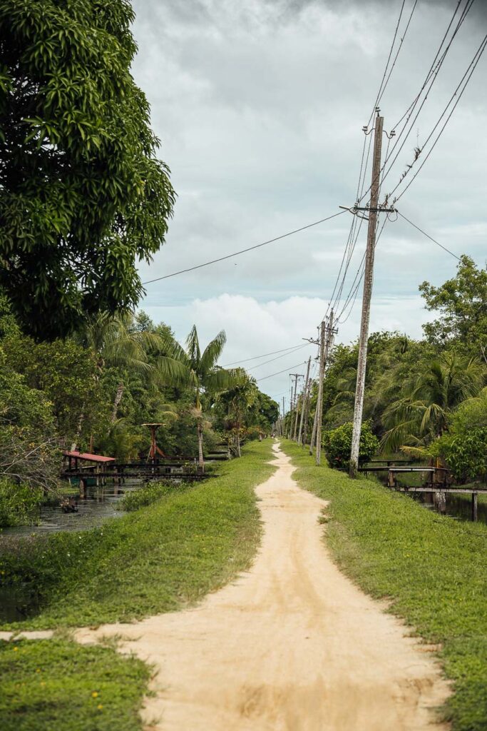 Path to one of the best hotels in Suriname: Frederiksdrop
